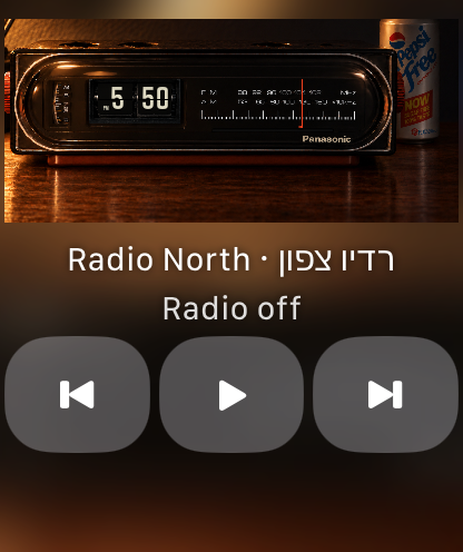BTTF Radio development screenshot on Apple Watch with playback controls